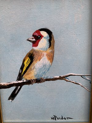 Henk Poeder - Puttertje kopen? Bied vanaf 65!