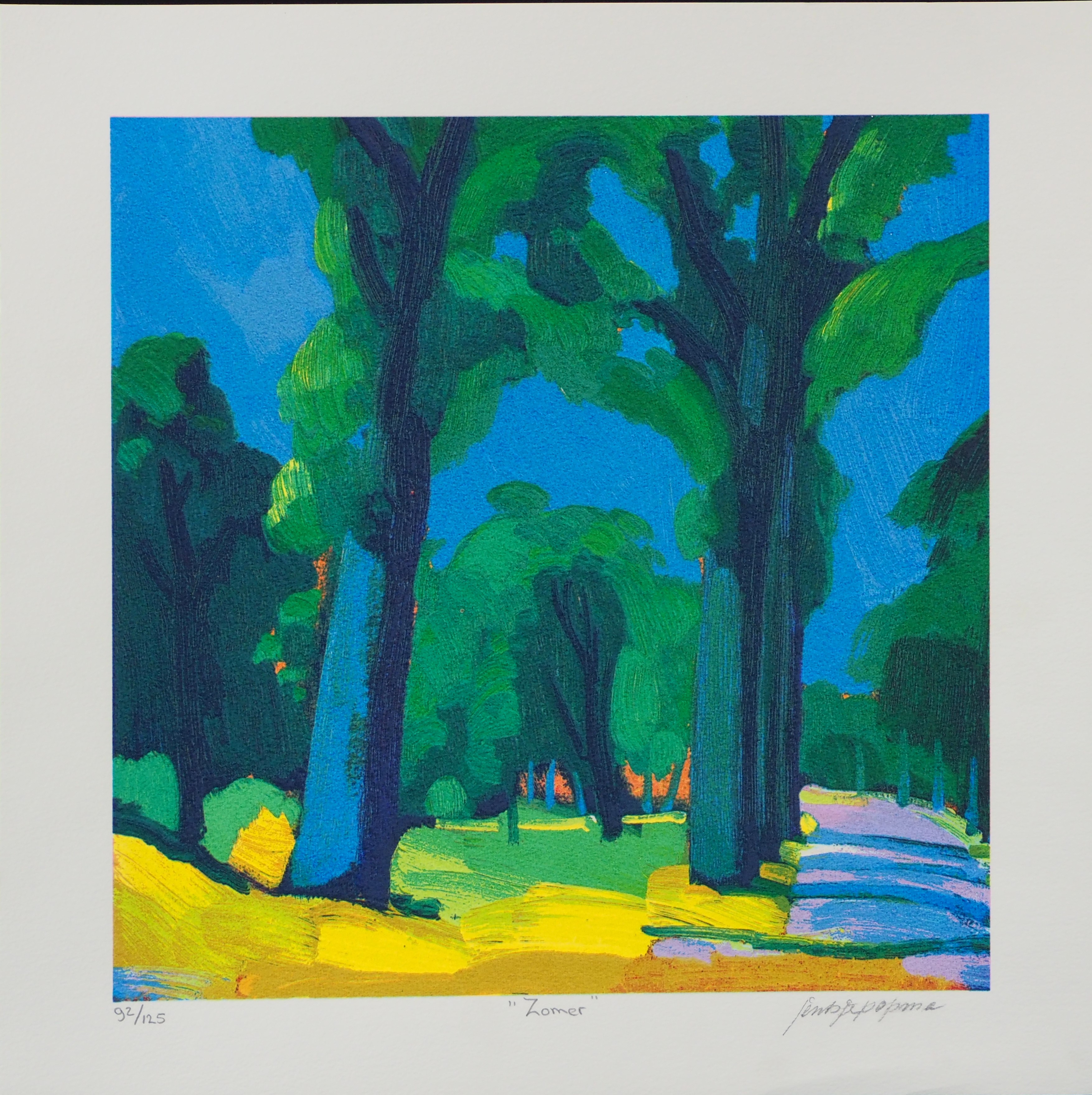 Jentsje Popma - Zomer kopen? Bied vanaf 60!