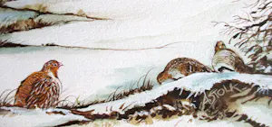 Ari Stolk - Patrijzen en eenden in winterlandschap kopen? Bied vanaf 159!