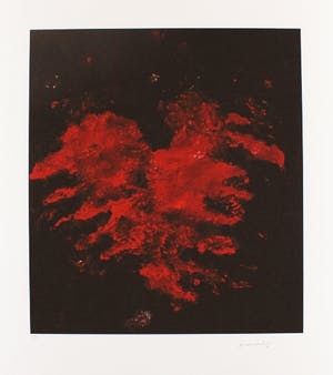 Armando - Kleurengiclee FLUGEL I Handgesigneerd. kopen? Bied vanaf 159!