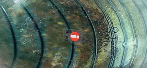 Iittala - Iittala Oiva Toikka Fasaani bird kopen? Bied vanaf 199!