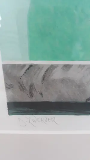 Dolf Zwerver - De vlucht kopen? Bied vanaf 225!