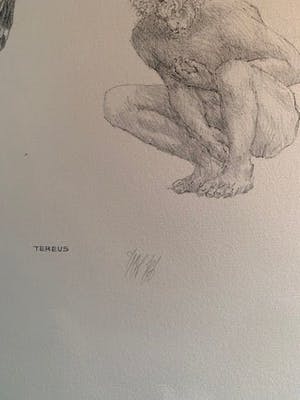 Peter Vos - Tereus kopen? Bied vanaf 15!