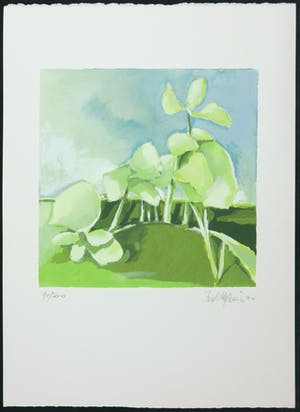 Fon Klement - Zeefdruk, Hommage aan Noord-Holland kopen? Bied vanaf 50!