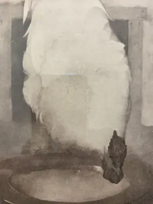 Jan Mankes - Zilverwynandotte. Haan. Ingelijst. kopen? Bied vanaf 129!