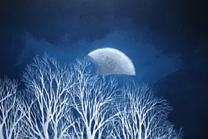 Ilona Schmit - Schaatsers in maanlicht - groot werk - kopen? Bied vanaf 150!