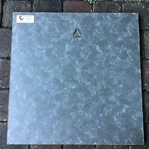 Ad van Hassel - Gele tulpen. kopen? Bied vanaf 30!