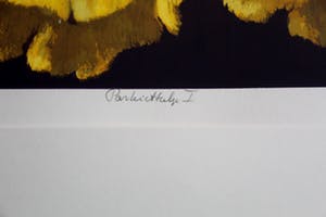 Hans Dolieslager - Ingelijste zeefdruk: Parkiettulp I - 2000 (mooie houten lijst!) kopen? Bied vanaf 55!