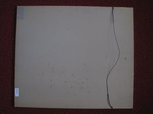 Frits van Eeden - Magnifieke Gemengde Techniek "Kudde wilde Paarden" - gesigneerd kopen? Bied vanaf 20!