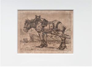 Johan Ponsioen - Werkpaard Haven Tiel - Ets kopen? Bied vanaf 145!