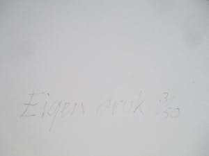 Willem den Ouden - Litho kopen? Bied vanaf 70!