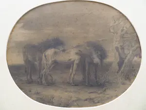 Frederik Willem Zurcher - Paarden in de wei kopen? Bied vanaf 40!