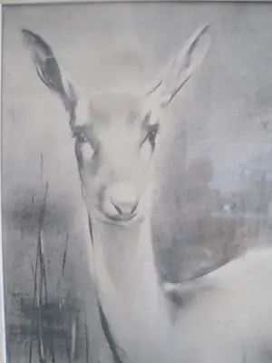 Han van Meegeren - Ree met kalf kopen? Bied vanaf 30!