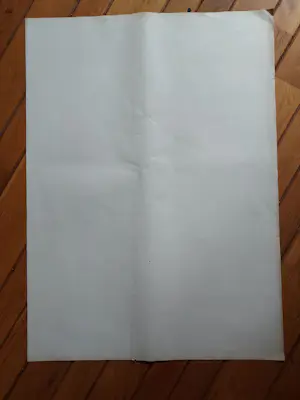 Dees De Bruyne - erotische tekening / naakt kopen? Bied vanaf 75!