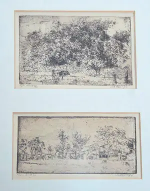 Wim Steijn - Twee etsen van landschappen kopen? Bied vanaf 45!