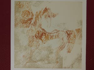 Dang Lebadang - Les Zèbres 1 kopen? Bied vanaf 15!