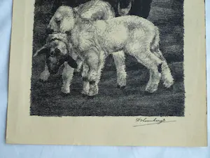 Dirk Homberg - 3x Litho , “Geitjes” – ca 1935 kopen? Bied vanaf 25!