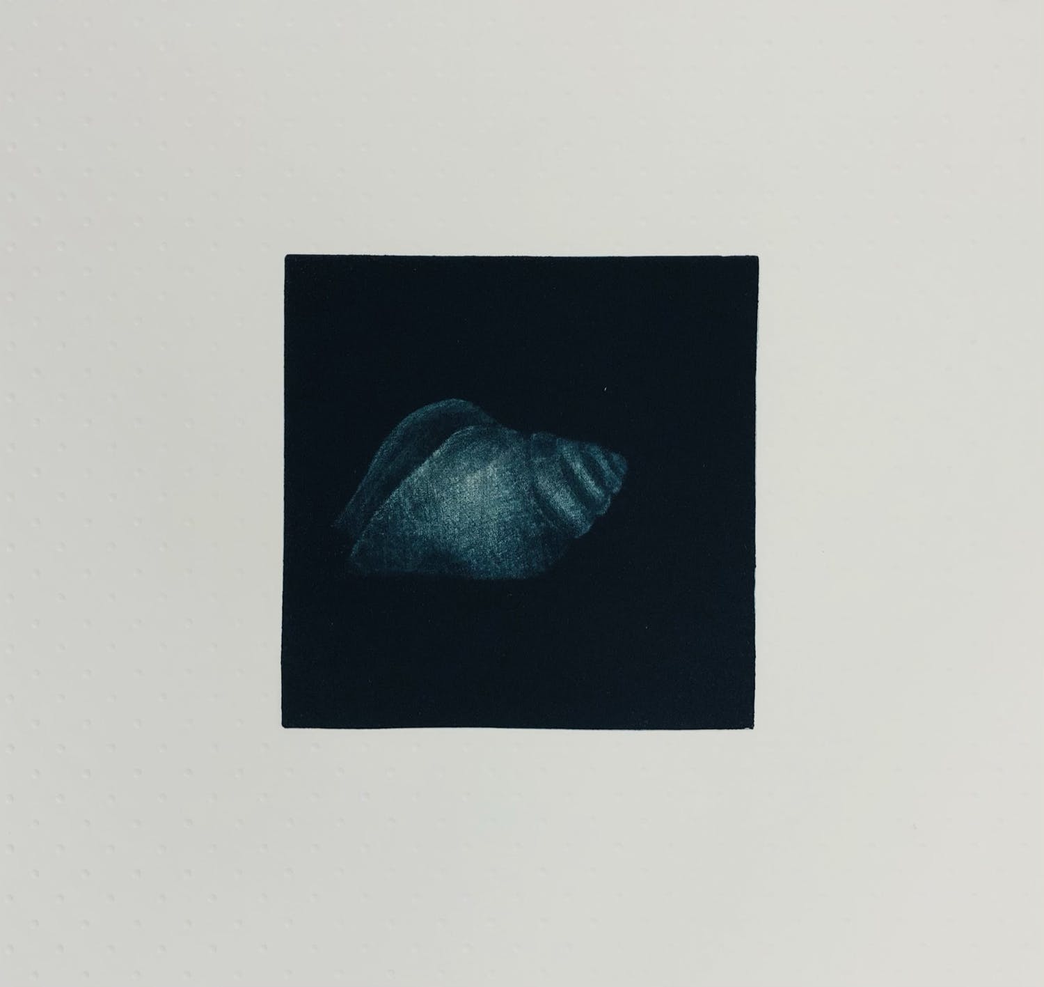 Caroline Koenders (1961)