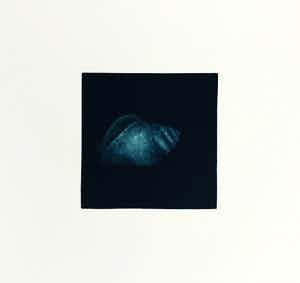 Caroline Koenders - zonder titel verkocht voor € 65!