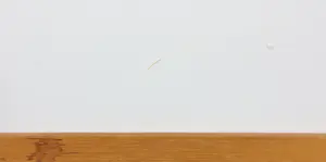 Wil Willemsen - Zeefdruk, Gossips - Ingelijst kopen? Bied vanaf 50!