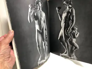 Michelangelo - sculpture of kopen? Bied vanaf 35!