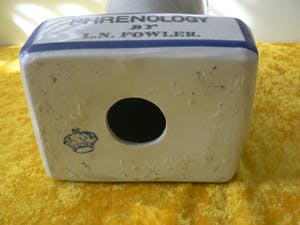 Curiosa - Phrenology head by L.N.Fowler kopen? Bied vanaf 50!