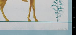 Aat Verhoog - Lot 2x litho kopen? Bied vanaf 92!