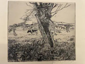 Theo Beerendonk - Knotwilg met koe kopen? Bied vanaf 40!