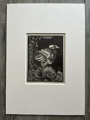 Jan Mankes - Originele Heliogravure - Nestkuiken 1927 kopen? Bied vanaf 95!