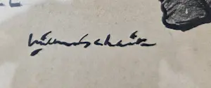 Willem van Schaik - Het oog van de cel. kaufen? Bieten Sie von 169!