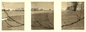 Reinder Homan - Drieluik: Kale tak in winters landschap - '92-'96 (3 gesigneerde werken) vendu pour 250€ !