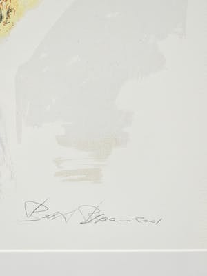 Bert Braam - Desira kopen? Bied vanaf 50!