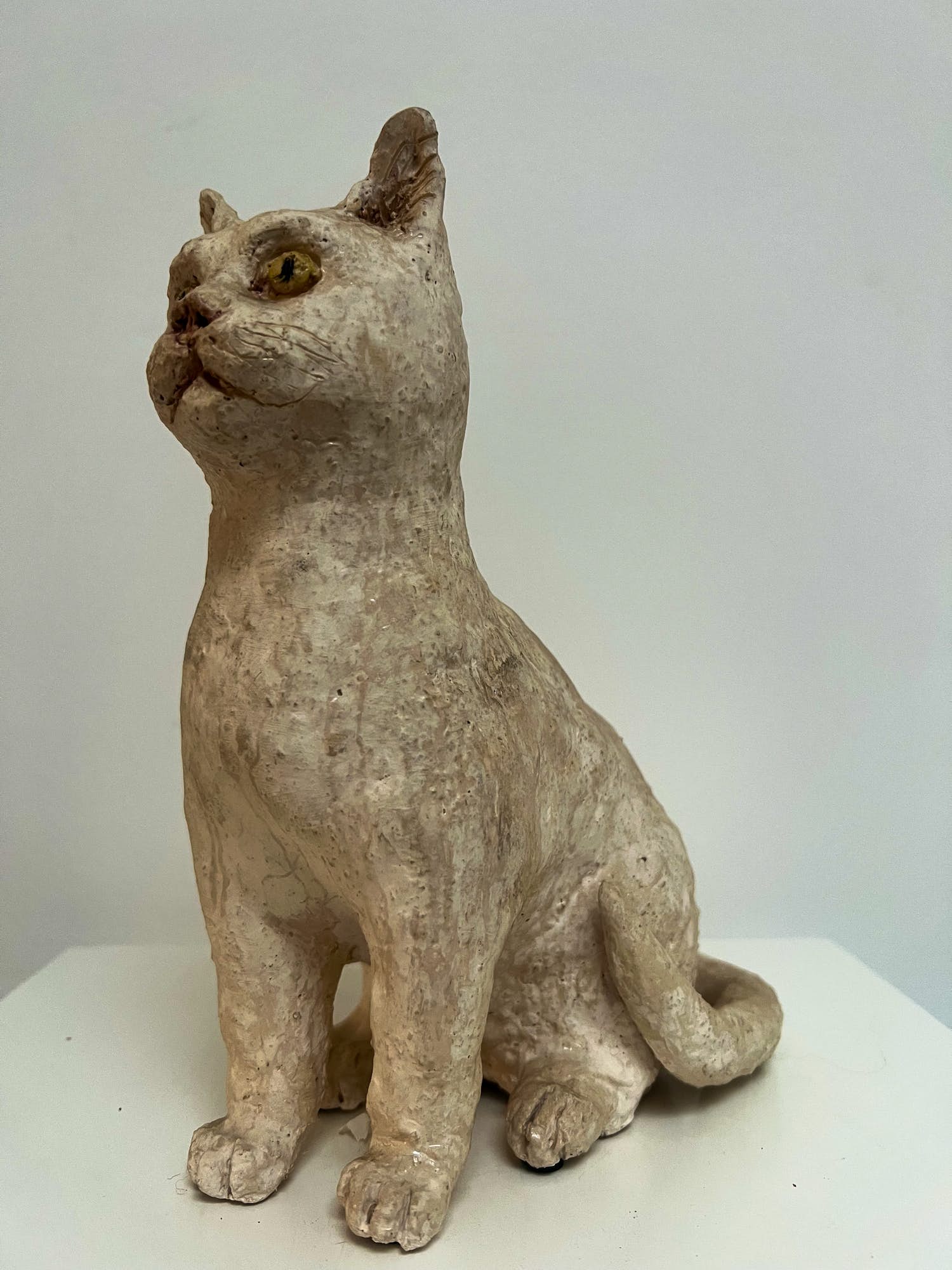 Tine Goudriaan-van Waning - Keramiek sculptuur | 'Zittende poes, gele ogen' kopen? Bied vanaf 1!