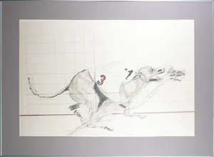 Walter van Gogh - Aquarel, Honden - Ingelijst kopen? Bied vanaf 1!