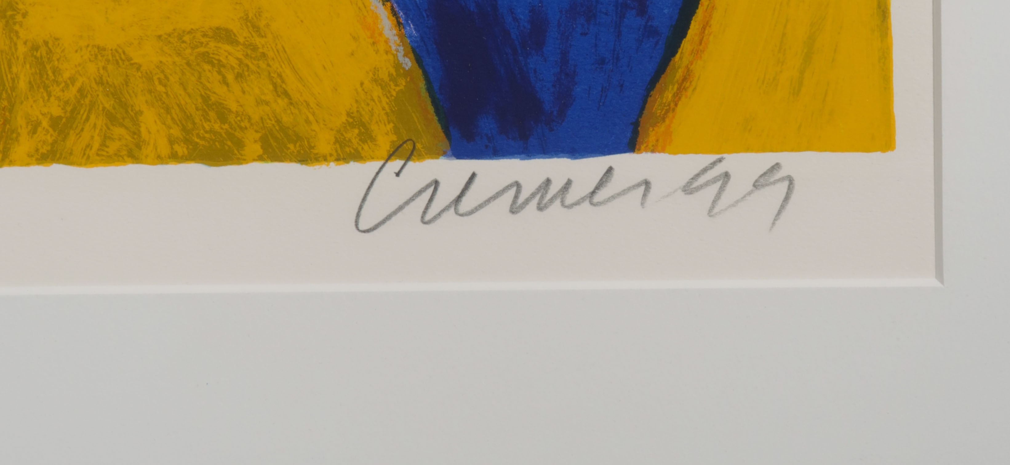 Jan Cremer - Zeefdruk, Tulpen - Ingelijst (Groot) kopen? Bied vanaf 180!