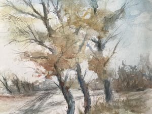 Joseph Jaspers - Bomen kopen? Bied vanaf 1!