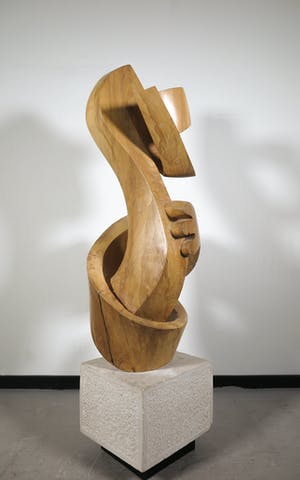 Niet of onleesbaar gesigneerd - Groot organisch gevormd houten sculptuur (Zwaar!) kopen? Bied vanaf 1!