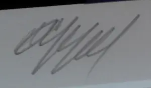 Karel Appel - Ingelijste zeefdruk: Dier uit de serie "Ten" kopen? Bied vanaf 599!