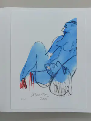 Corneille - 13 gesigneerde zeefdrukken in uitgave 'Salomé' kopen? Bied vanaf 2000!