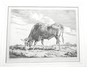 Pieter Gerardus Van Os - Grazende koe bij een rivier kopen? Bied vanaf 65!