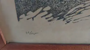 Dick van Luijn - Boomgaart kopen? Bied vanaf 50!