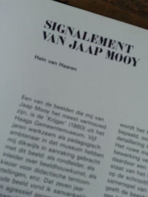 Jaap Mooy - Amorf masker kopen? Bied vanaf 160!