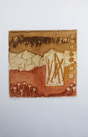 Jan Montyn - kleurenets - 1999 - oplage I/II HC kopen? Bied vanaf 75!