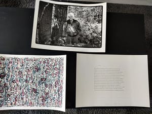 Jan Wolkers - Winterbeeld VIII kopen? Bied vanaf 225!