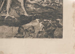 Cornel Kwint - Torenuil kopen? Bied vanaf 35!