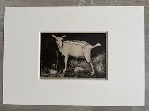 Jan Mankes - Originele Heliogravure Geit 1923 kopen? Bied vanaf 135!