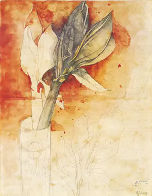 Bruno Bruni - Kleurenoffset-litho AMARYLLIS Handgesigneerd kopen? Bied vanaf 49!