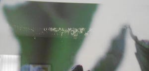 Robert Wevers - De kool, het mes en de hand kopen? Bied vanaf 125!