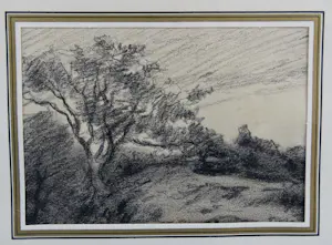 Abraham van der Wissel - Twee studies van bomen - potlood, houtskool kopen? Bied vanaf 30!