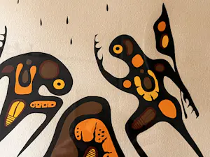 Goyce Kakegamic - Rain Dance Zeefdruk 37/70 kopen? Bied vanaf 40!